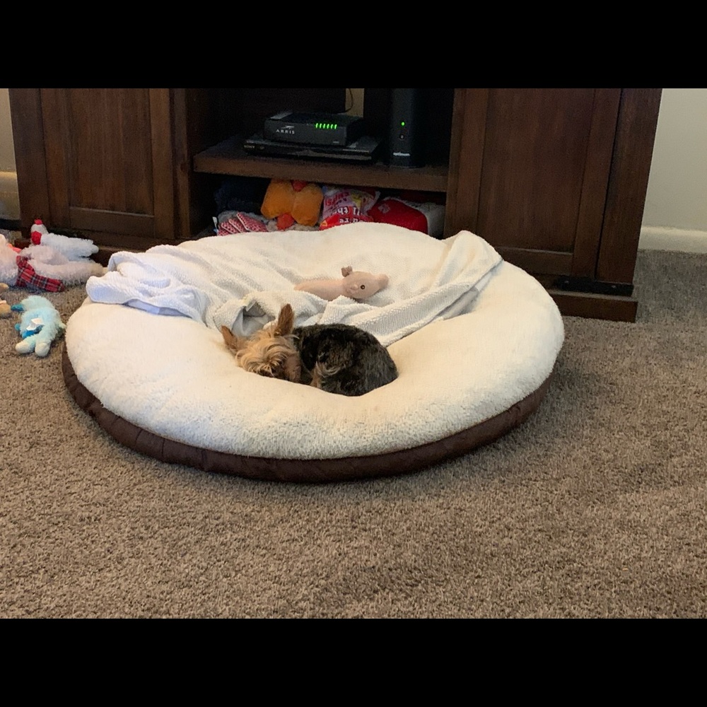 Meet your Posher, James